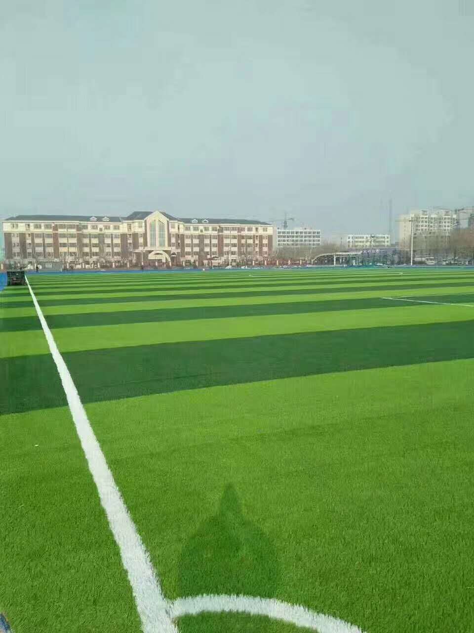 柳州市塑胶跑道仿真草坪 - 哪里好